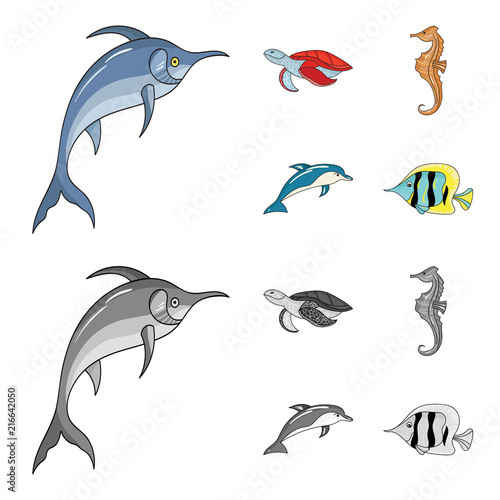 Merlin, turtle and other species.Sea animals set collection icons in cartoon,monochrome style vector symbol stock illustration web.