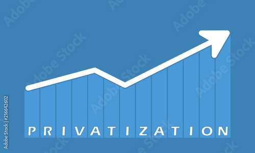 Privatization