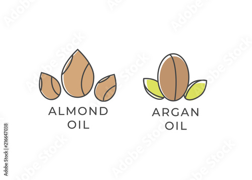 Almond and argan oil icon. Almond oil logo. Argan oil vector logo