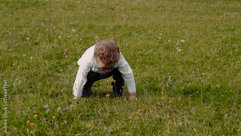 child in glasses on the grass child in glasses on the grass