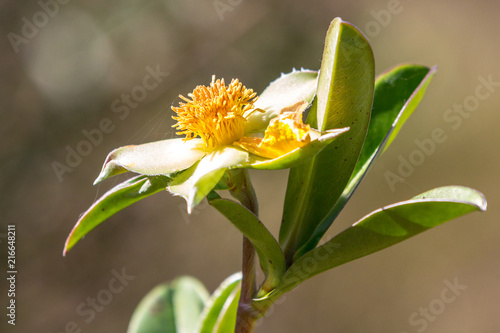 Lookout Double island point, Queensland