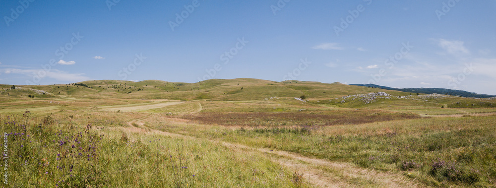 Meadow panorama