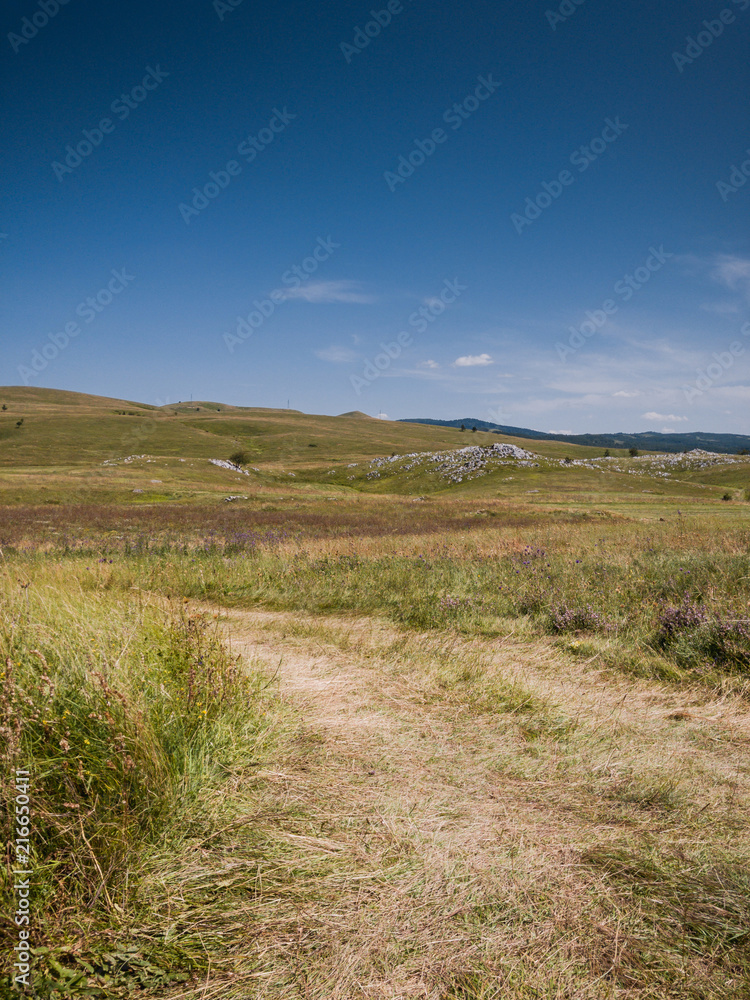 Fototapeta premium Country scene with blue sky and green fields