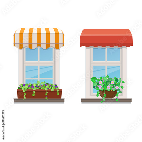 Two windows with awnings and flowers in pots