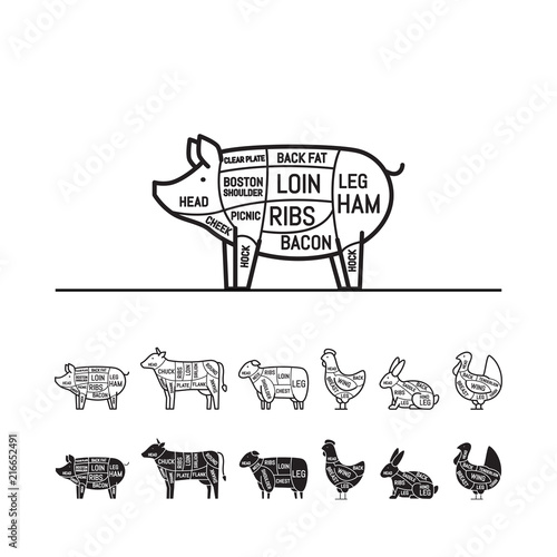 Diagrams for butcher shop - pig. Meat cuts. Animal silhouette, pig, cow, lamb, chicken, turkey, rabbit. Vector illustration.