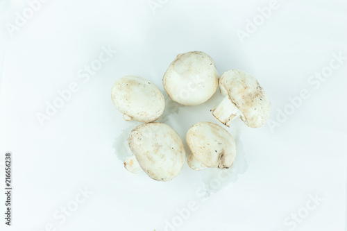 fresh mushrooms.isolated on a white background.