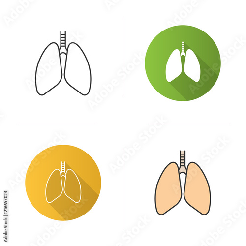 Human lungs icon