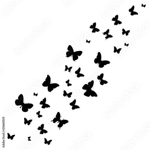 vector, isolated, background with butterflies silhouette flying