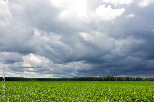 Stormy sky and field
