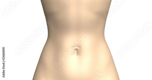 Thin female waist, flat stomach and perfect body.  An animation showing the effect of yogurts, probiotics, dietary supplements, laxatives or weight loss products.