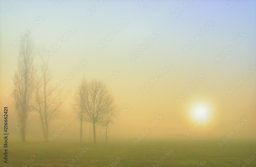 Warm Misty Sunrise