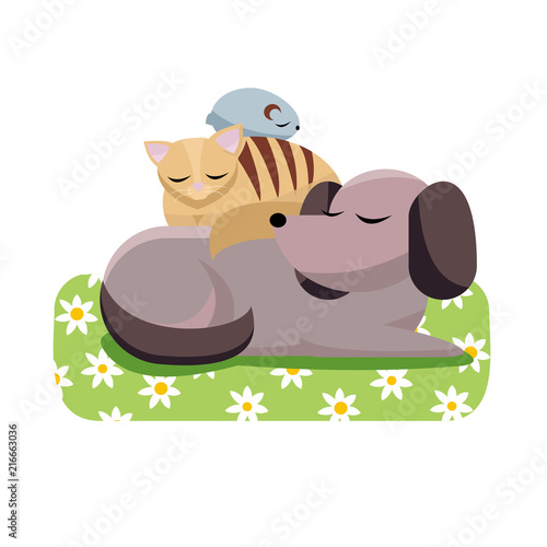 Flat cartoon vector illustration cat and chinchilla sleeps comfortably on dog. Sweet dreams of furry friends. Cute best friends sleeping dog, cat, hamster on daisy dog mat on white background