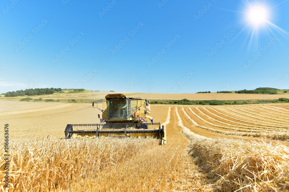 Obraz premium le temps des moissons