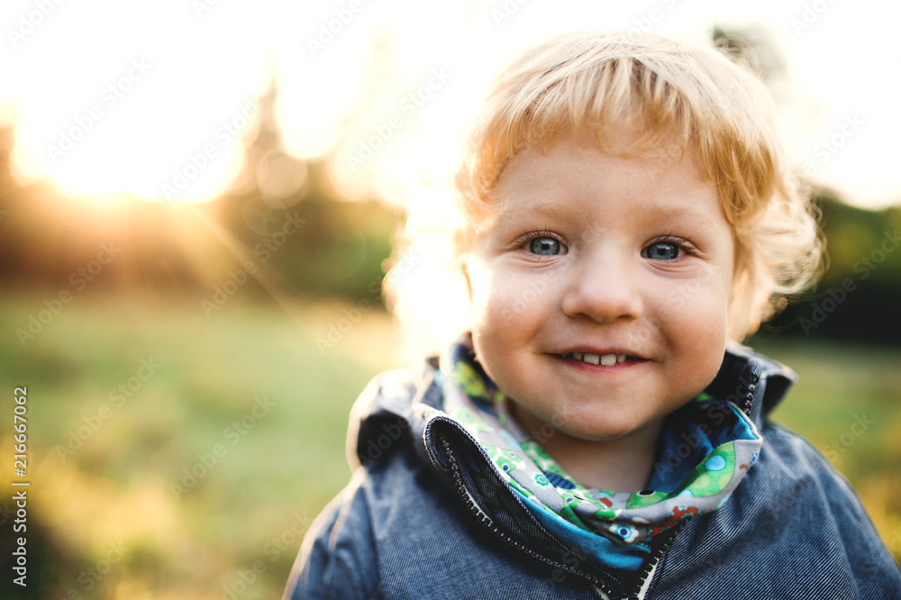 A little toddler boy standing outdoors on a meadow at sunset. Close-up. A little toddler boy standing outdoors on a meadow at sunset. Close-up.
