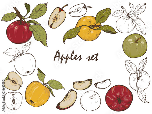 Fototapeta Naklejka Na Ścianę i Meble -  Whole apples, cut into halves and slices, set, vector illustration