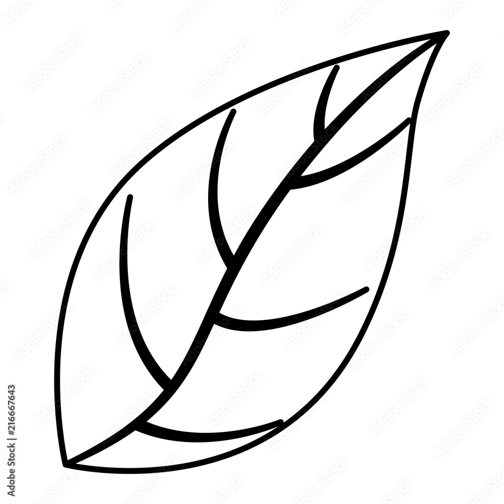 leaf plant ecology icon vector illustration design leaf plant ecology icon vector illustration design