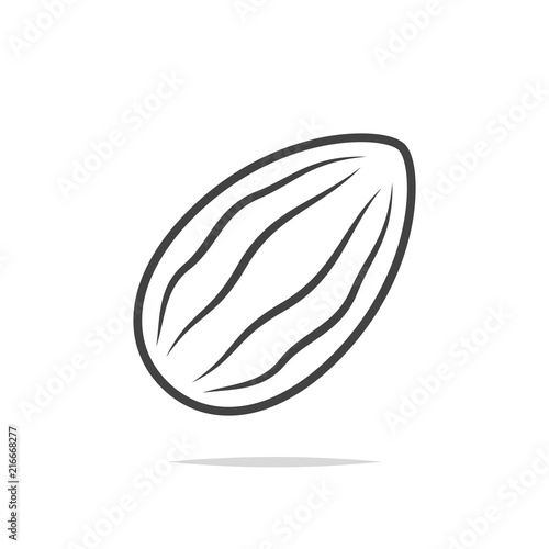 Almond line icon vector