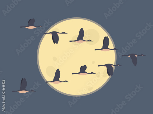 Flock of migrating geese flying. Migratory birds concept. Night sky background with moon. photo