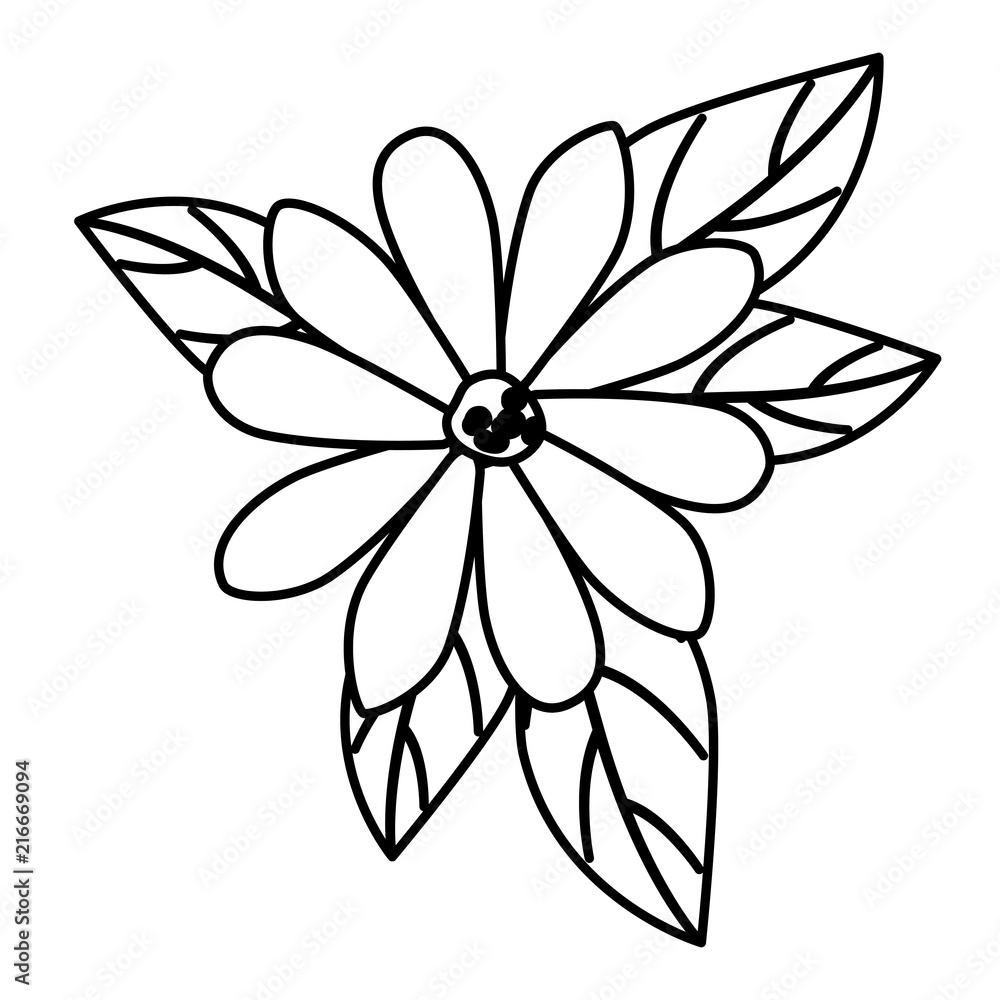 Fototapeta premium beautiful flower and leafs garden vector illustration design