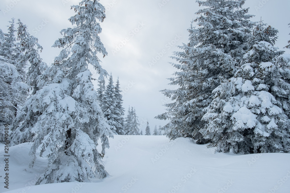 Obraz premium Landscape of a frosty beautiful day at mountains during snowfall.