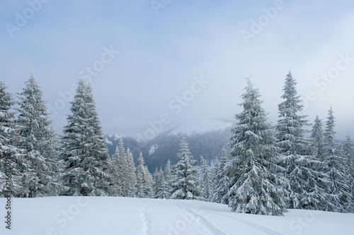 Landscape of a frosty beautiful day at mountains during snowfall. © ianachyrva