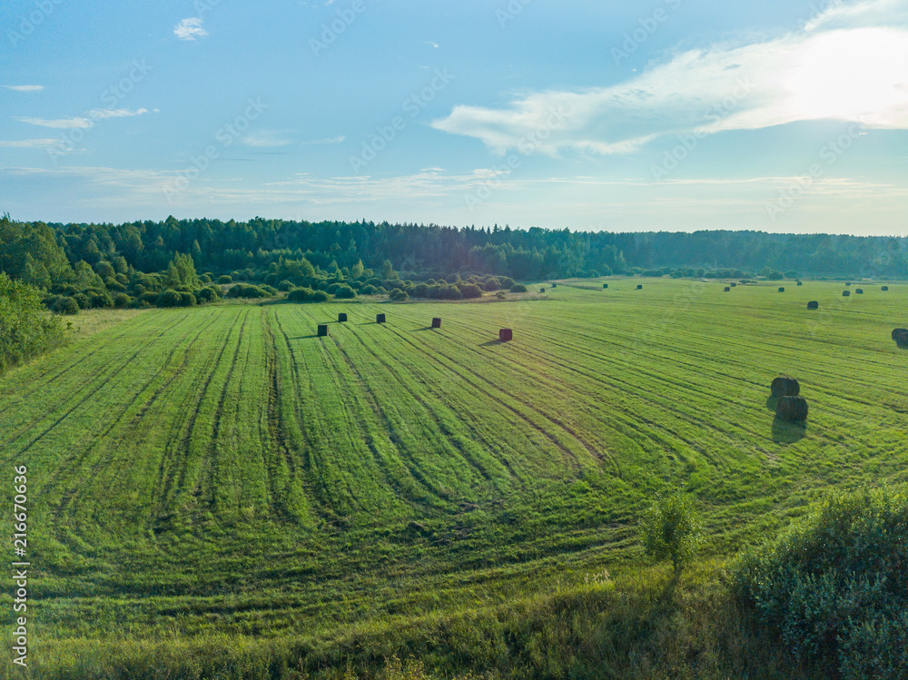 Aerial view of a field with bales of mown hay 
