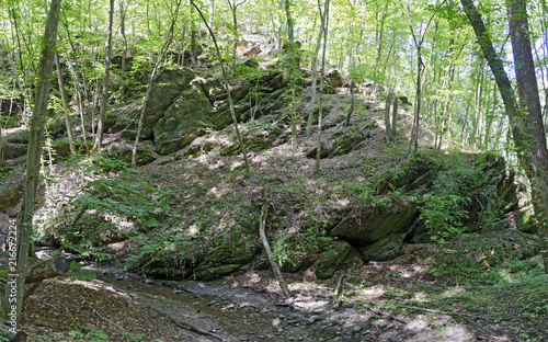 Felsen im Wald