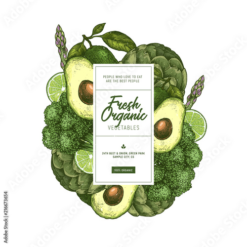 Green vegetables design template. Fresh food engraved illustration. Vector illustration