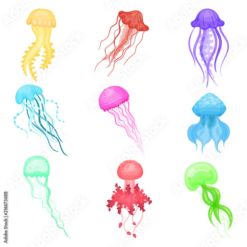 Flat vectoe set of jellyfish of different colors. Marine animals with long tentacles. Sea and ocean life