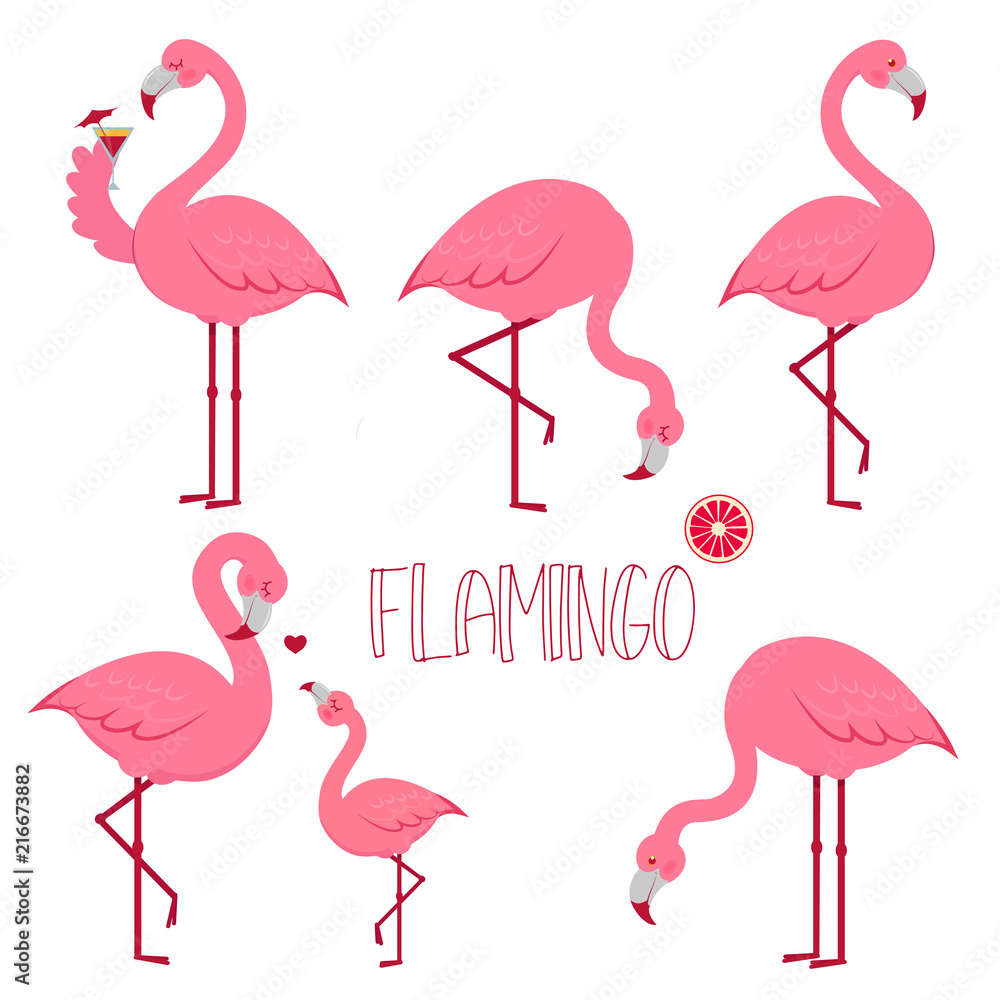 Fototapeta premium Tropical Bird Flamingos. Vector.