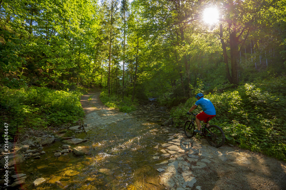 Mountain biker riding on bike in spring mountains forest landscape. Man cycling MTB enduro flow trail track. Outdoor sport activity. Mountain biker riding on bike in spring mountains forest landscape. Man cycling MTB enduro flow trail track. Outdoor sport activity.