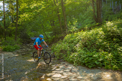 Mountain biker riding on bike in spring mountains forest landscape. Man cycling MTB enduro flow trail track. Outdoor sport activity. © Gorilla