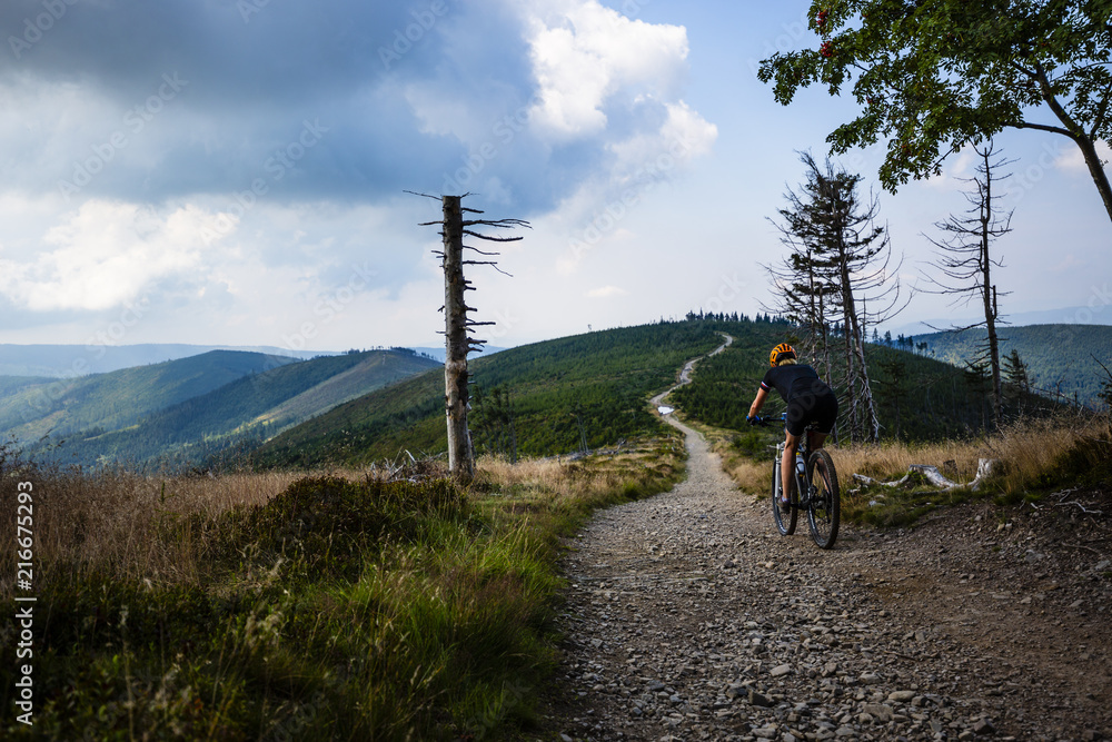 Obraz premium Mountain biking women riding on bike in summer mountains forest landscape. Woman cycling MTB flow trail track. Outdoor sport activity.