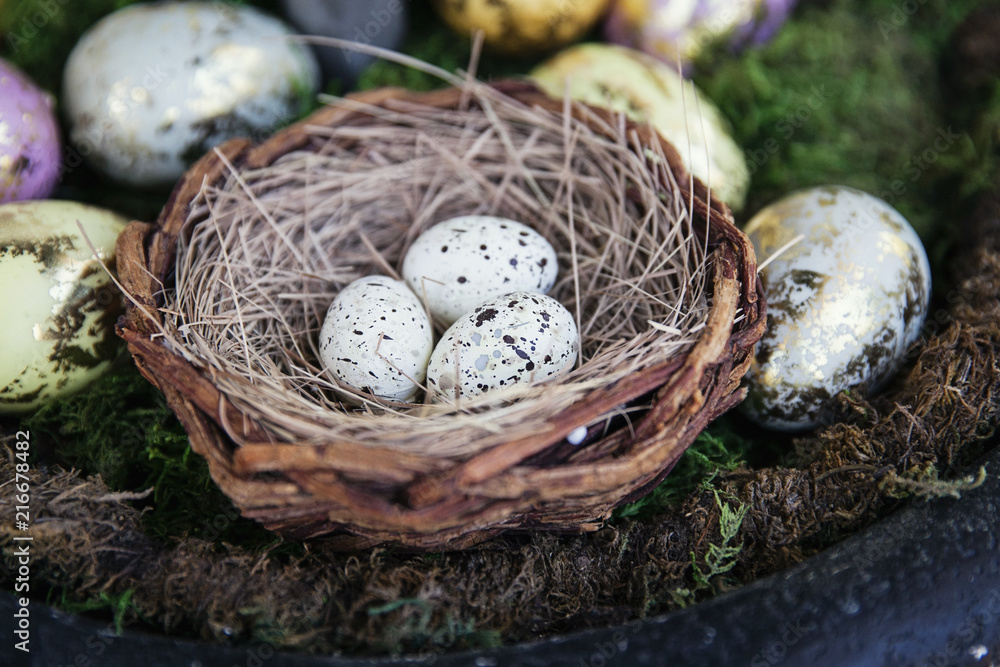 Nest of Eggs Nest of Eggs