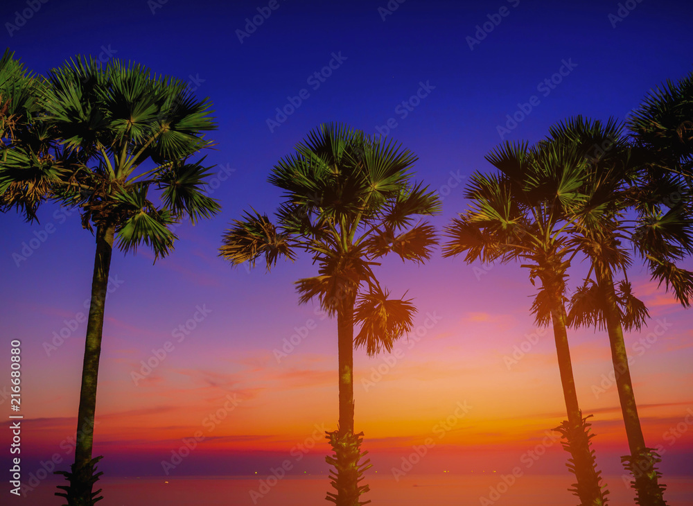 Silhouette sugar palm trees on beach at twilight. Vintage tone