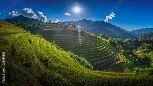 Rice fields on terraced with wooden pavilion on blue sky background in Mu Cang Chai  YenBai  Vietnam.