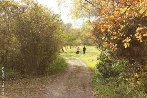 nature walk