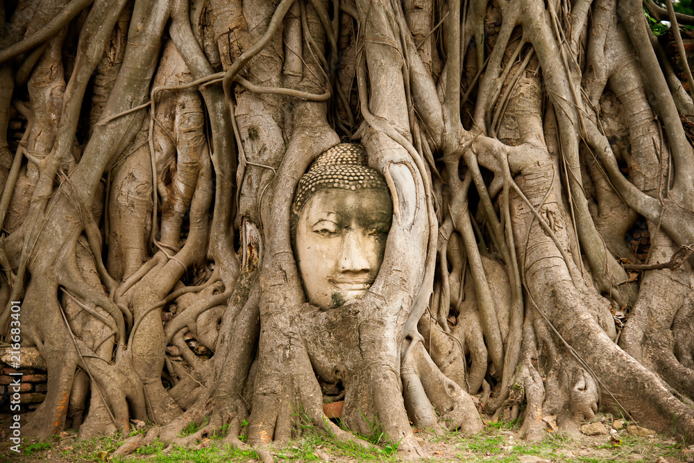 Wat Maha That Ayutthaya Buddha Head statue with trapped in Bodhi Tree roots at Wat Maha That (Ayutthaya). Ayutthaya historical park Thailand. Vintage effect. Wat Maha That Ayutthaya Buddha Head statue with trapped in Bodhi Tree roots at Wat Maha That (Ayutthaya). Ayutthaya historical park Thailand. Vintage effect.