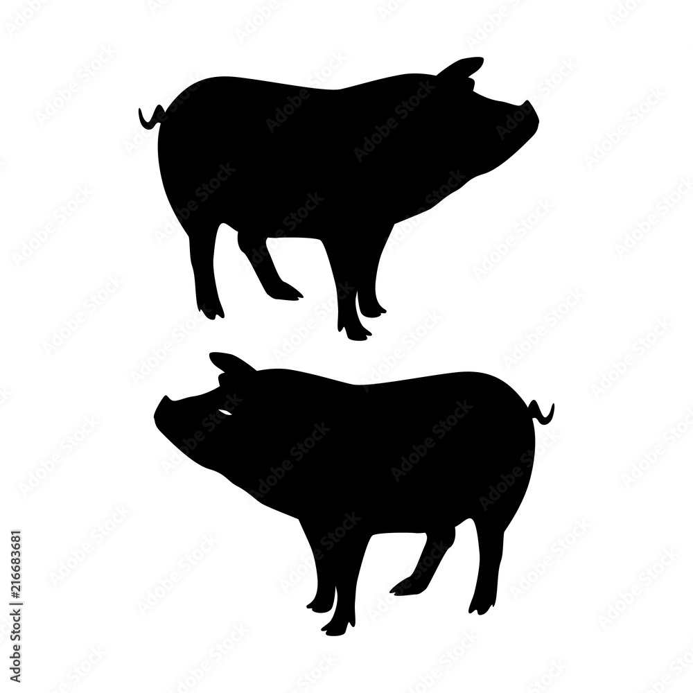 Fototapeta premium Silhouette Pig, on white background,