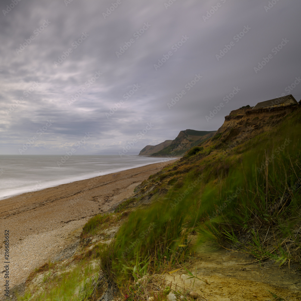 View along the Dorset coast from the beach near Eype on a windy day with long exposure smoothing the sea and blurring the ferns, Dorset, UK