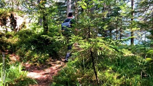 4K footage hiking through the woods in summer