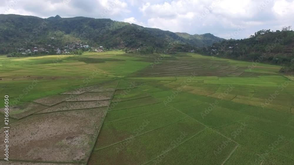 spider rice field. Aerial shot in ruteng. indonesia. spider rice field. Aerial shot in ruteng. indonesia.