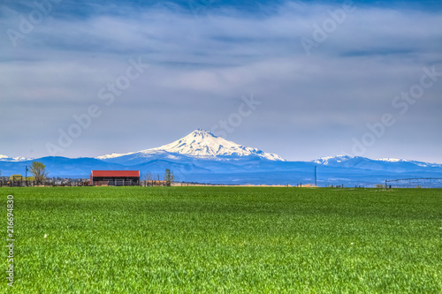 Green Field with red barn and view of Jefferson from Madras Oregon