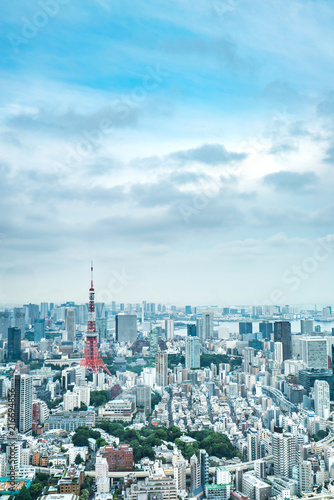 Tokyo Tower  Japan - communication and observation tower. It was the tallest artificial structure in Japan until 2010 when the new Tokyo Skytree became the tallest building of Japan.