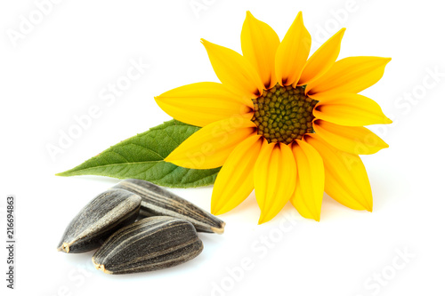 Sunflower seeds with flower isolated.