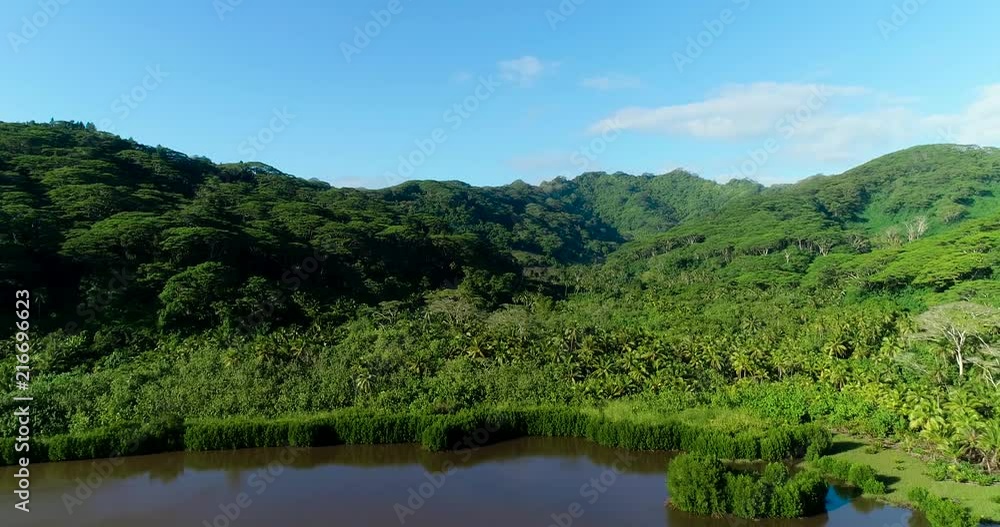 landscape of a tropical island in aerial view, French Polynesia landscape of a tropical island in aerial view, French Polynesia