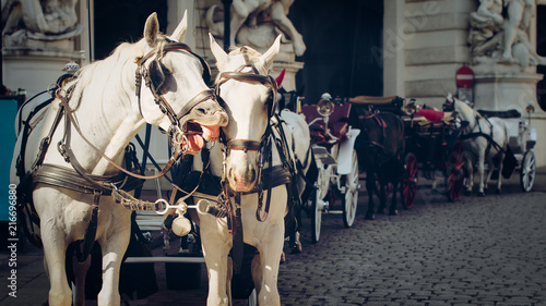 Vienna, Austria, traditional two-horse carriage