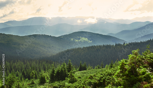 Magic misty forest in the morning. Summer landscape in the mountains. early morning. Carpathian Mountains, Ukraine, Western Ukraine, Vorohta. photo