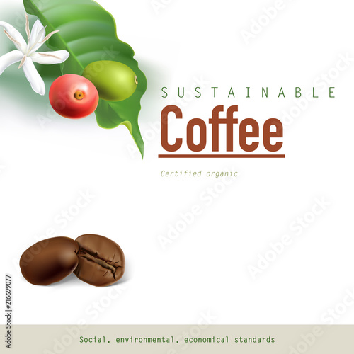 Coffee Beans roasted to perfection, coffee flower, berries and leaf.
Hand drawn realistic vector illustration on white background.
