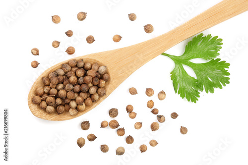 coriander seed and leaves in wooden spoon isolated on white background. Top view. Flat lay pattern